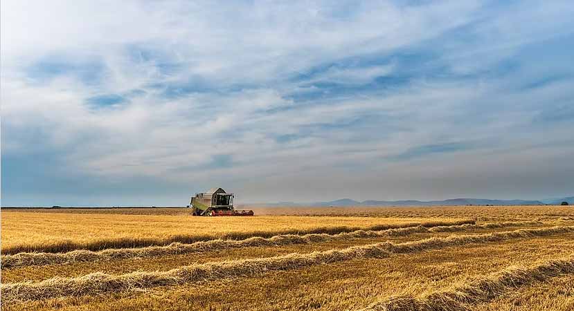 Coberturas AGRO